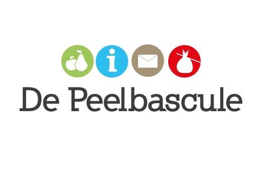 cropped-cropped-PEELBASCULE-2.jpg